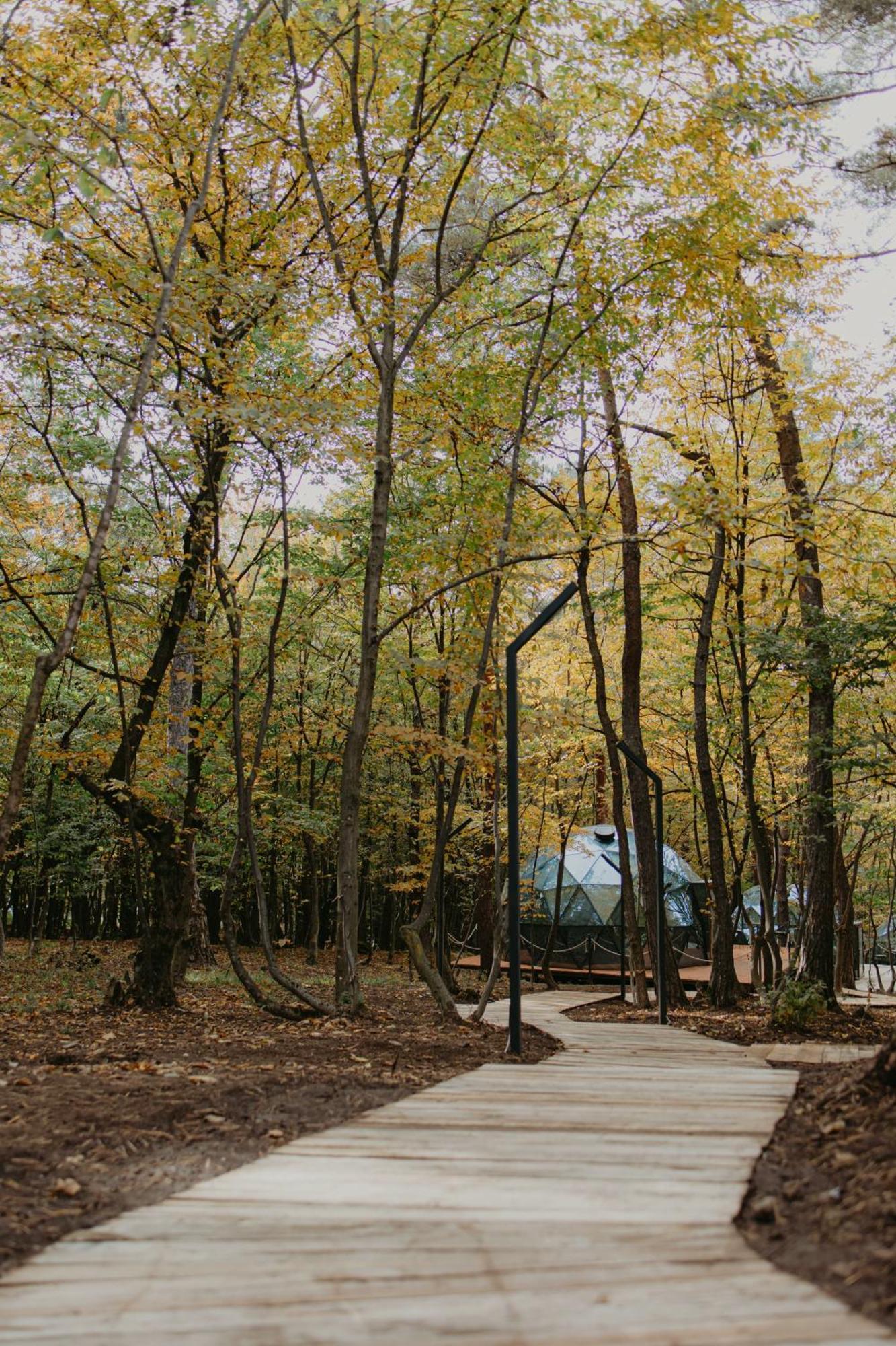Hotel Dream Park Gyulagarak Zewnętrze zdjęcie